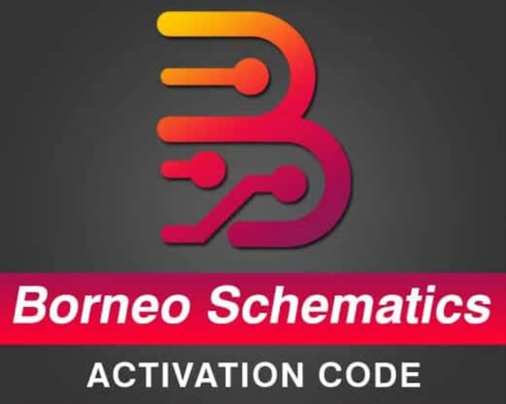 borneo schematic remote view